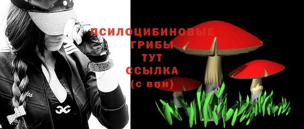 spice Ладушкин