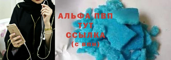 PSILOCYBIN Лагань