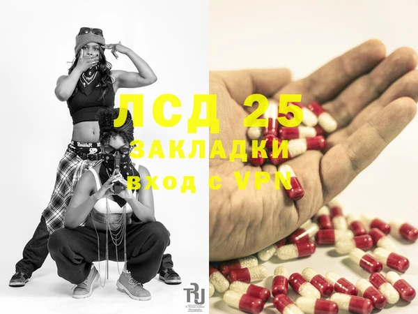 PSILOCYBIN Лагань