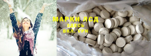 PSILOCYBIN Лагань