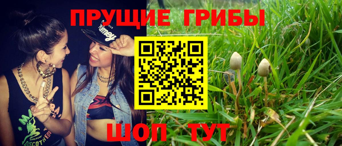 Псилоцибиновые грибы MAGIC MUSHROOMS Новочебоксарск