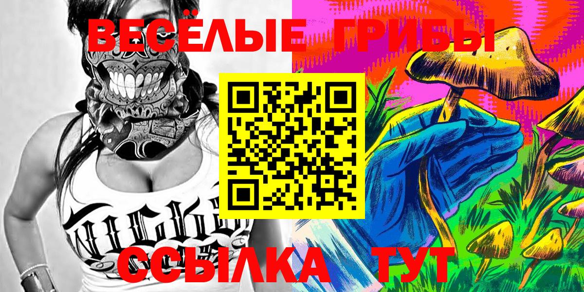 Псилоцибиновые грибы Cubensis  Новочебоксарск 