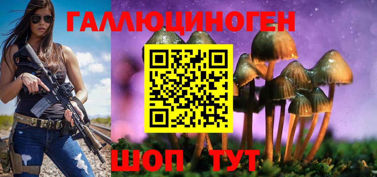 Галлюциногенные грибы прущие грибы Новочебоксарск