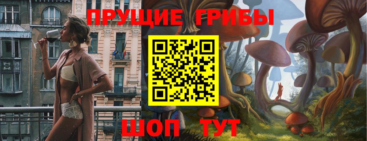 Псилоцибиновые грибы Psilocybine cubensis  цена   Новочебоксарск  Вход с VPN 
